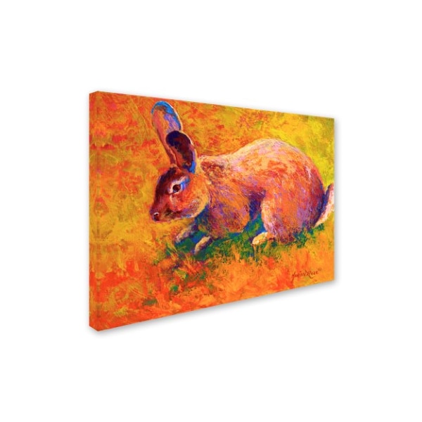 Marion Rose 'Rabbit 1' Canvas Art,24x32